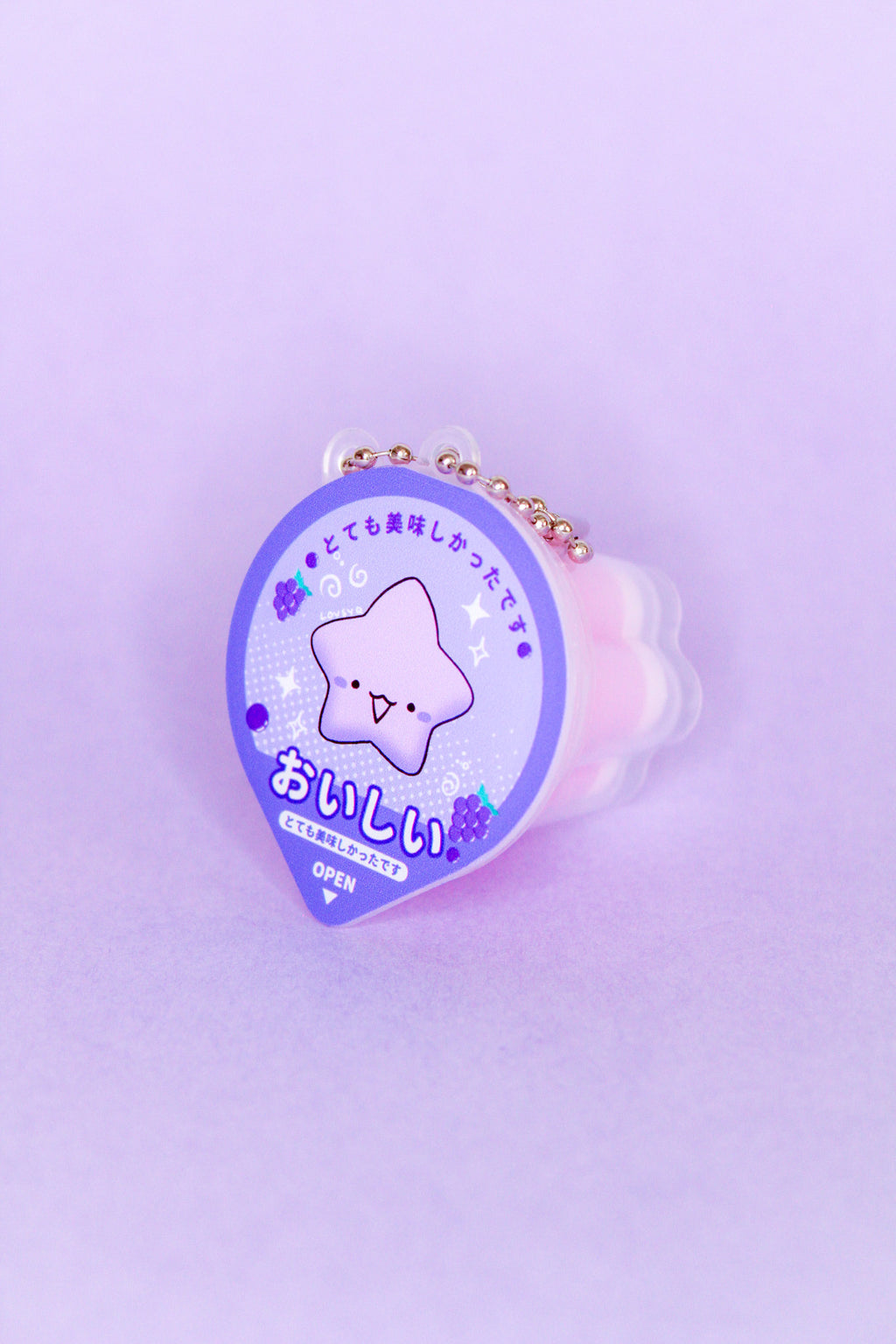 Silly Pudding Jelly Keychains